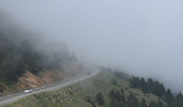Zigana Dağı'nda sis etkili oldu
