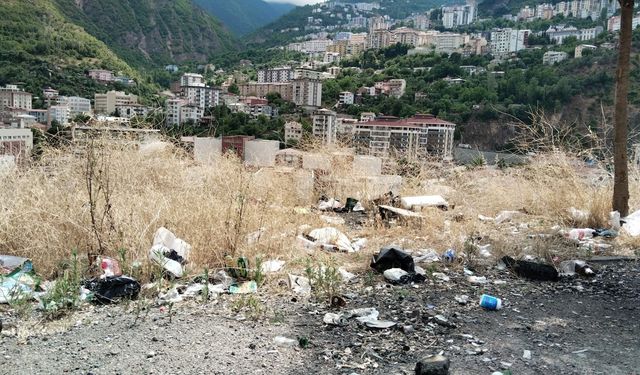 Doğa Cenneti Artvin'e Yakışmayan Manzara
