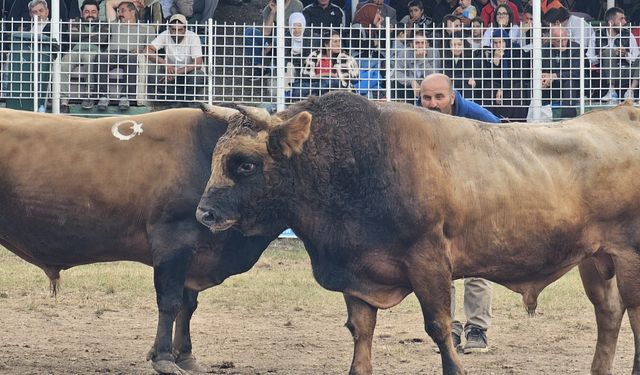 45. Kafkasör Festivali’nde 3. Gün Heyecanı Sona Erdi