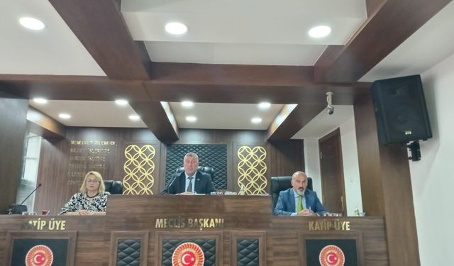 İl Genel Meclisi'nde Meşecik Planına Onay, İki Tahsis Dosyası Komisyona