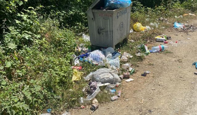 İl Özel İdaresi’ne Çöp Tepkisi: Murgul Köyleri Bir Aydır Hizmet Bekliyor
