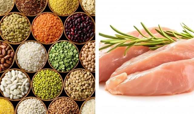 KURU GIDA VE TAVUK ETİ ALIMI İHALESİ