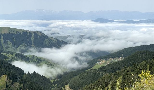 Artvin'de Yüksek Kesimlerde Sis Etkili Oldu