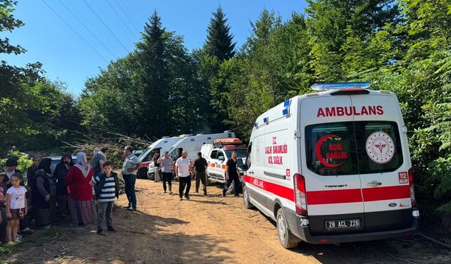 Giresun Valiliğinden hava aracı düştüğü ihbarına ilişkin açıklama: