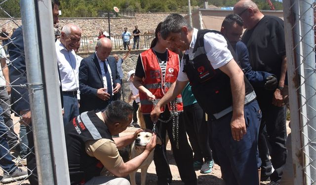 Gümüşhane'de sahipsiz hayvanlar için doğal yaşam alanı açıldı