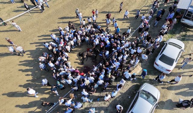 Kastamonu'da at yarışında çarpışan iki at telef oldu