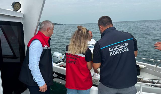 Ordu'da yasa dışı palamut avlayanlar hakkında idari para cezası uygulandı