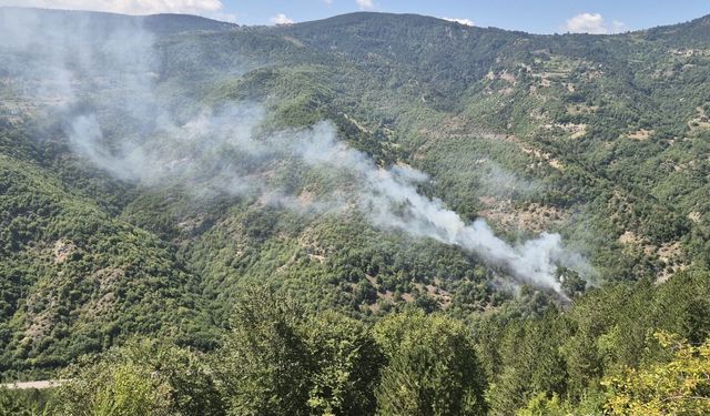 Sinop'ta çıkan örtü yangınına müdahale ediliyor