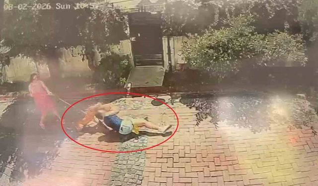 Samsun'da pitbull dehşeti: Küçük kızı yere savurdu, köpeğini ise ağır yaraladı