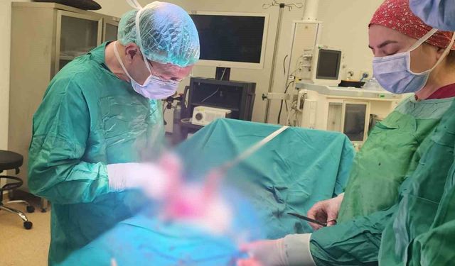 Sinsice büyüyen miyomlar gebeliğe engel olabiliyor