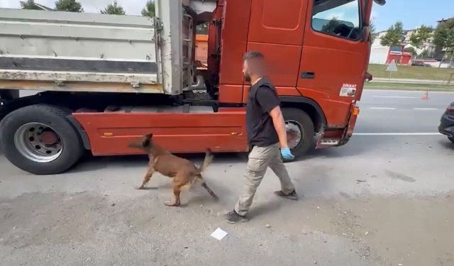 Tırın gizli bölmesinde 7 kilo metamfetamin ele geçirildi