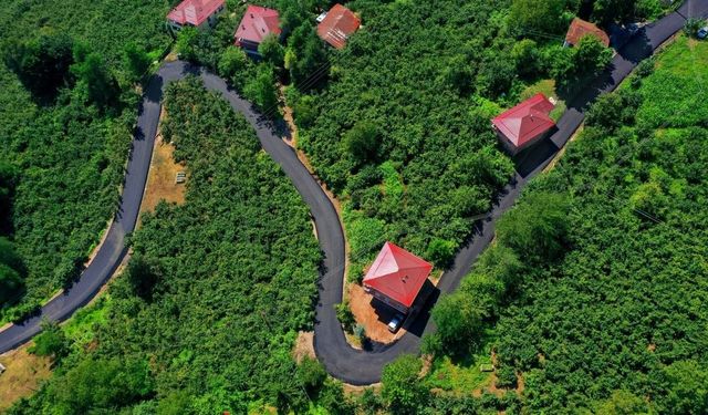 Turizme çıkan yol sıcak asfaltla buluştu