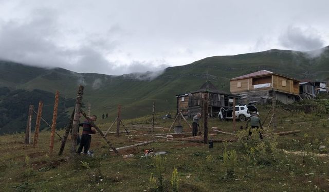 “Doğanın Kalbinde, Birlik Ve Kardeşlik İçin”