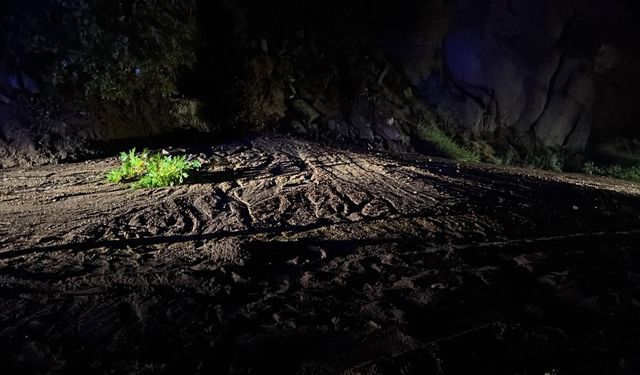 Aydemir’den Şavşat yolu açıklaması: “Üç bakanlık koordineli çalışıyor”
