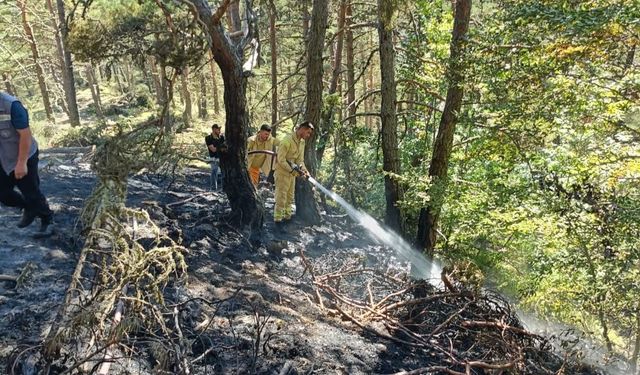 Ordu'da çıkan örtü yangını söndürüldü