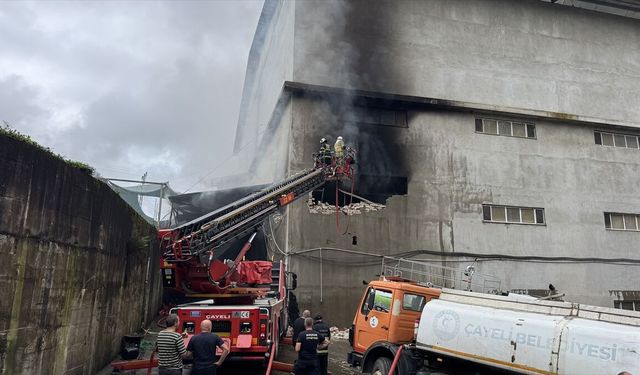Rize'de çay fabrikasının deposunda çıkan yangın söndürüldü