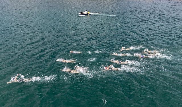 Sinop'ta 550 metre serbest yüzme yarışması düzenlendi