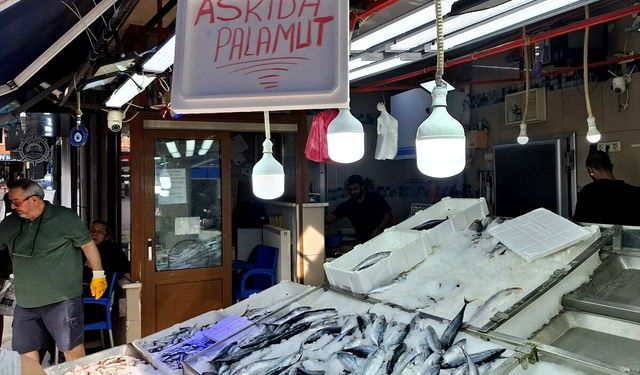 'Askıda palamut' uygulaması başlatıldı