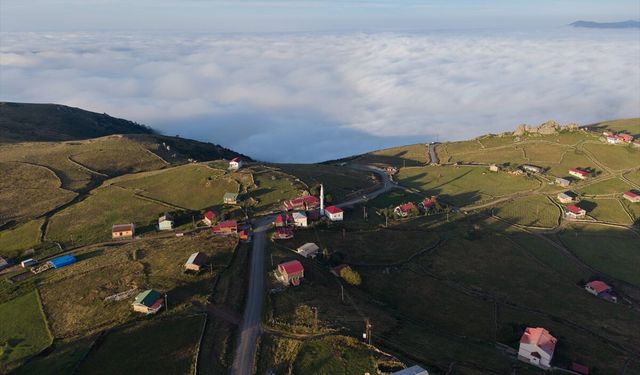 Trabzon'un 'bulutlara komşu' yaylaları sonbahar renklerine bürünüyor