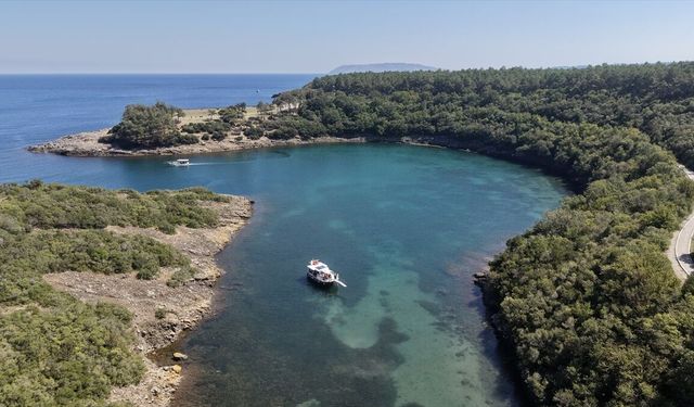 Yüzde 70'i ormanlarla kaplı Sinop temiz havasıyla ziyaretçilerine nefes oluyor