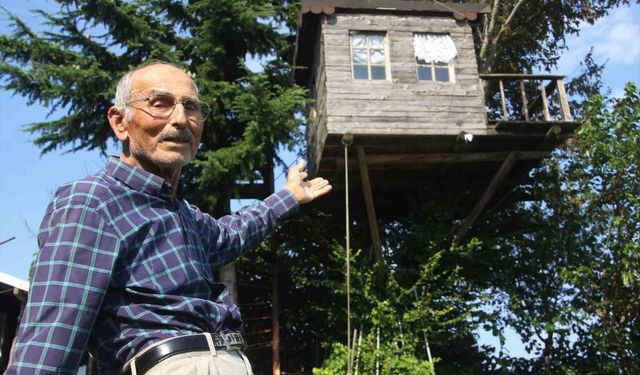 Torunu istedi, dedesi yaptı: 90 yıllık meşe ağacının tepesine ev kurdu