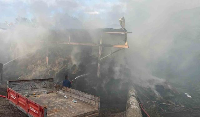Yurtbekler köyünde samanlık alevlere teslim oldu