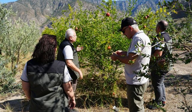 Artvin’de Orman Yatırımları İncelendi