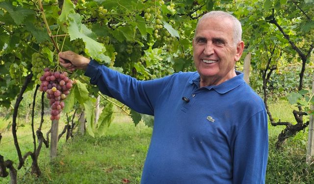 20 Dönümde Doğal Üretimle Dünya Pazarına Açılan Şarap