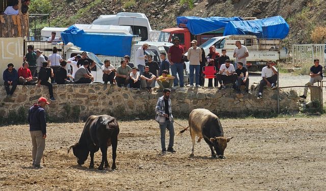 Sarıgöl Deresi’nde 10 Köy Muhtarları Festivali Başladı
