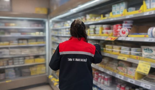 299 işletmeye gıda denetimi