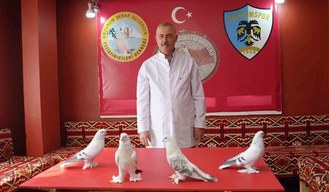 Emekli astsubay, 40 güvercini için ev kiraladı: Aylık 10 bin TL harcıyor