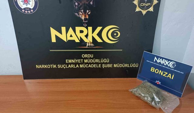 Ordu'da uyuşturucu operasyonunda 1 tutuklama