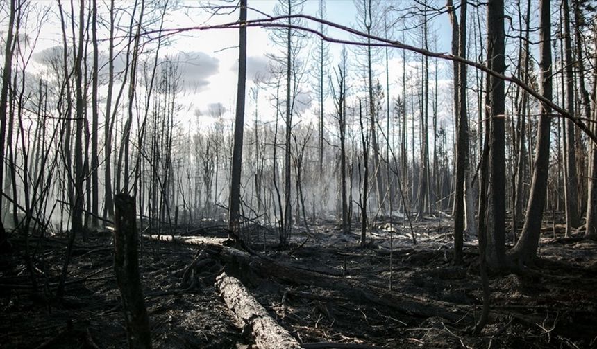 Orman yangınları nedeniyle binlerce kişi tahliye edildi