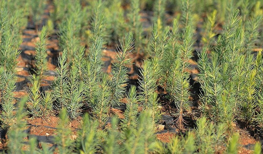 Türkiye, Dost ve Kardeş Ülke Azerbaycan'ın Da "Geleceğine Nefes" Oluyor