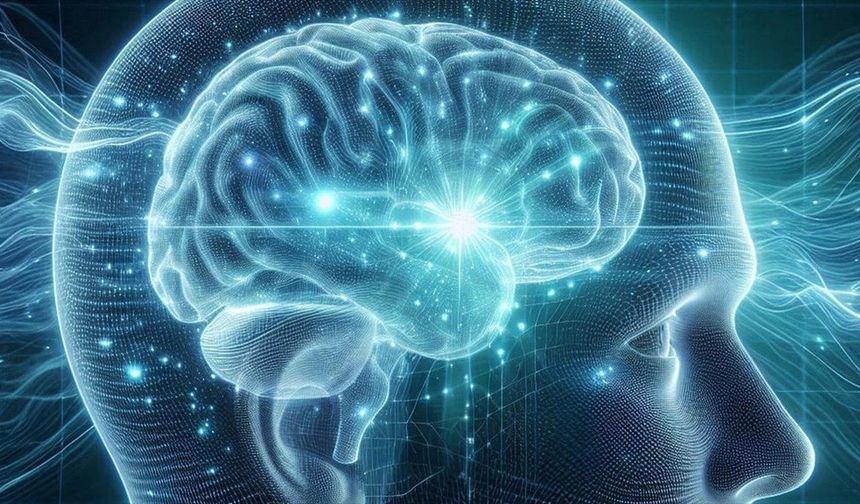 Yeni Detaylı Beyin Haritasıyla Kelimelerin Anlamlarını Belirleyen Nöronlar Bulundu