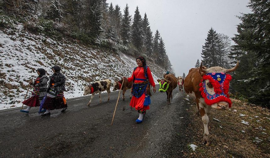 Doğu Karadeniz'de Kar Yağışı Yaylalardan Dönüşü Hızlandırdı