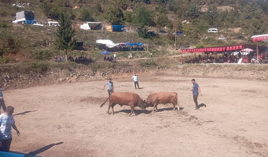 Güz Güreşlerinde İlk Gün Tamamlandı