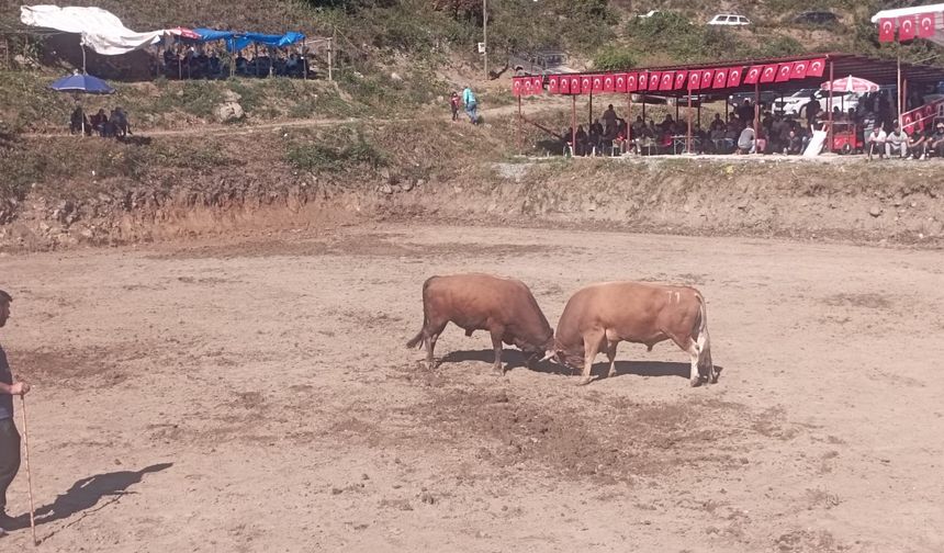 Güz Güreşleri Başladı