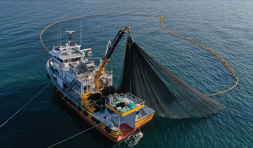Doğu Karadeniz'in 4 Aylık Su Ürünleri İhracatı 47,8 Milyon Doları Aştı