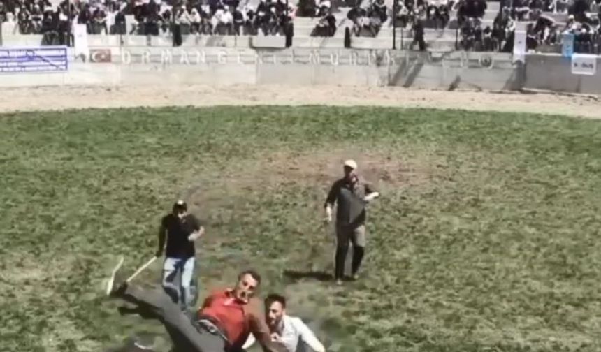 Artvin’de 500 Kilogramlık Boğa, Bakıcısını Hastanelik Etti