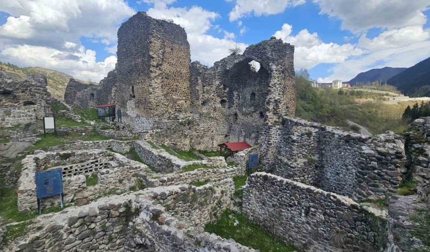 Şavşat Kalesi Havadan Görüntülendi