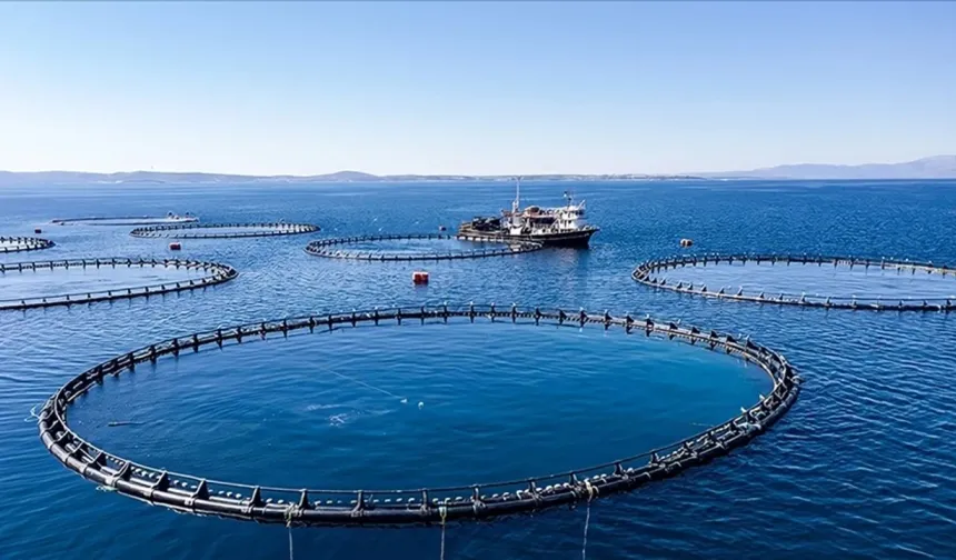 Su ürünlerinde üretim planlamasında olan tür sayısı 16'ya çıktı