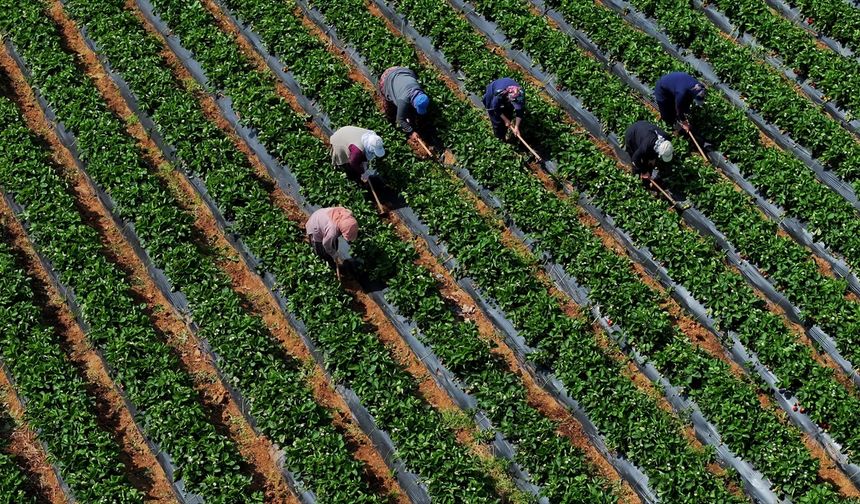 Tarımsal Girdi Fiyat Endeksi Martta Yıllık Yüzde 29,73, Aylık Yüzde 1,8 Arttı