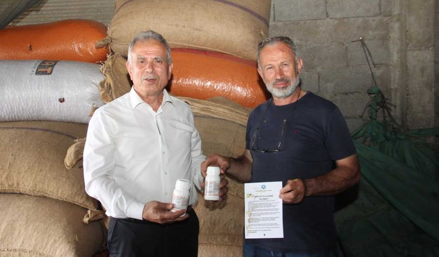 Trabzon'da Kahverengi Kokarcaya Karşı Üreticilere İlaç Dağıtıldı