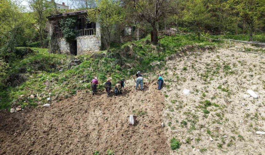 Karadeniz kadınının zorlu mesaisi başladı