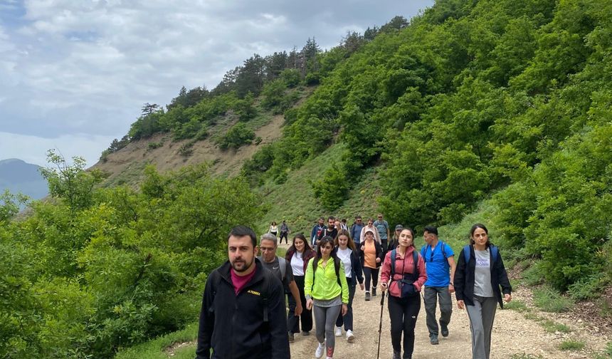 Patika’dan Doğaya Yolculuk