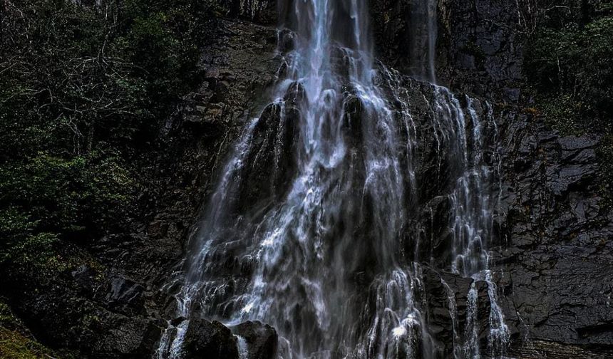 Artvin’e Bir Müjde Daha