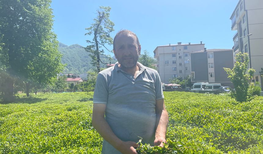 “Alın Terimizin Karşılığını İstiyoruz”