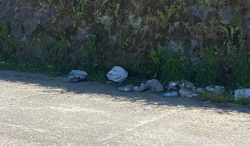 Hopa-Kemalpaşa Yolunda Çöp Sorunu