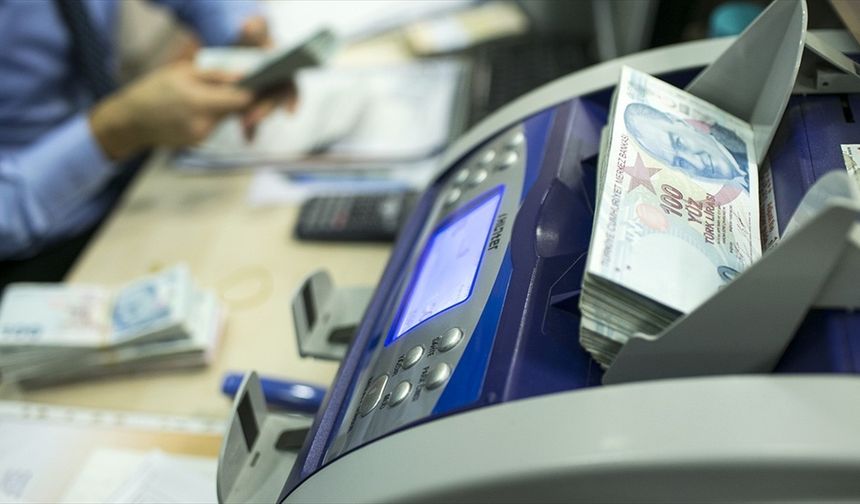 Mayısta En Fazla Aylık Reel Getiri Mevduat Faizinde Oldu